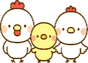 ぴよちゃん一家